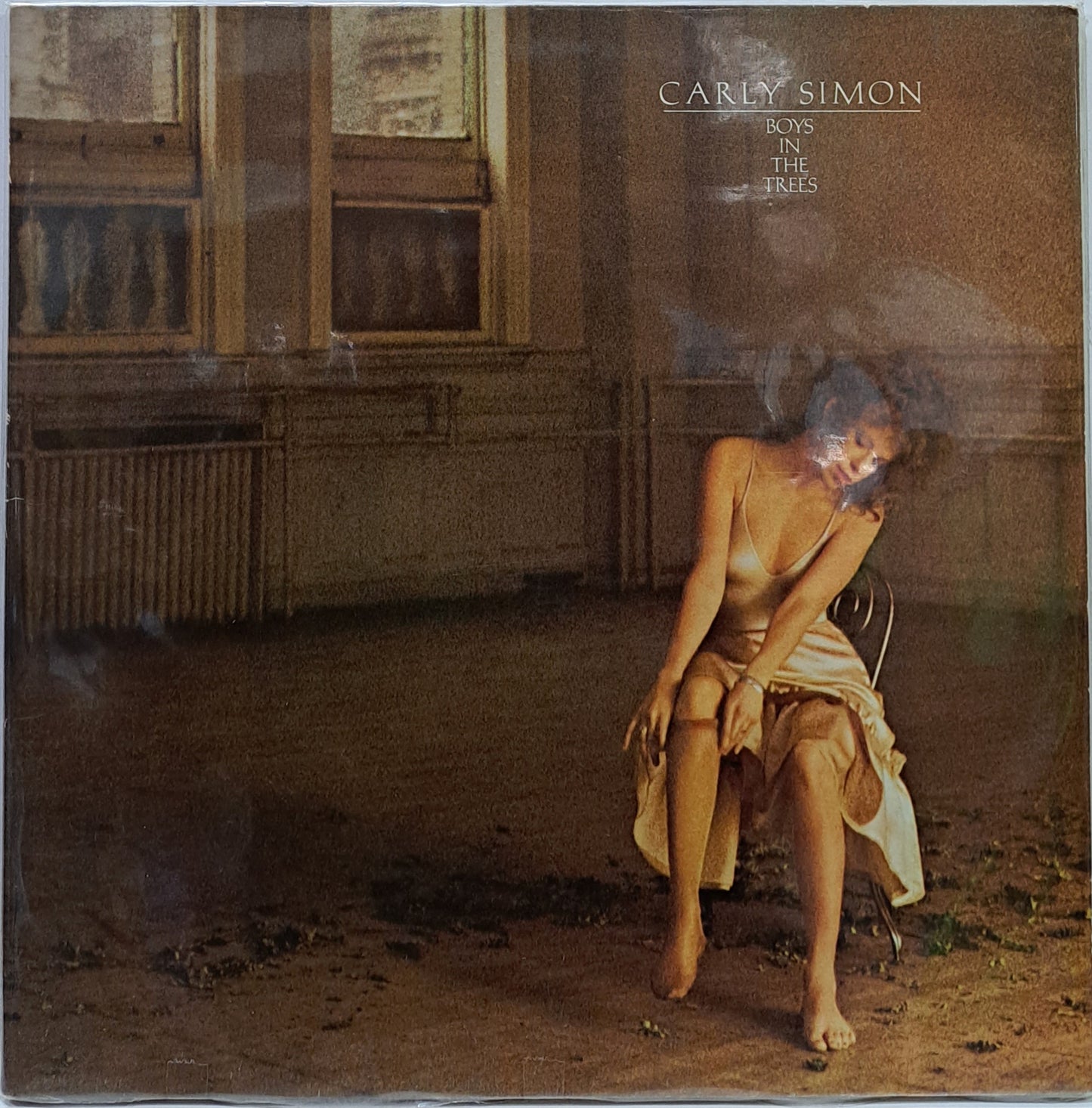 CARLY SIMON - BOYS IN THE TREES LP