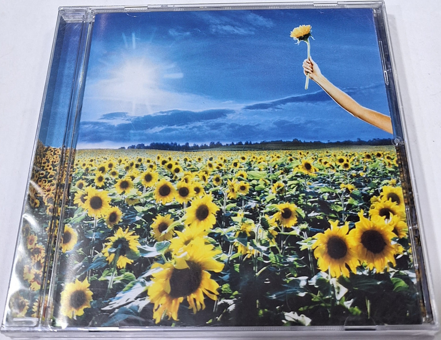 STONE TEMPLE PILOTS - THANK YOU CD