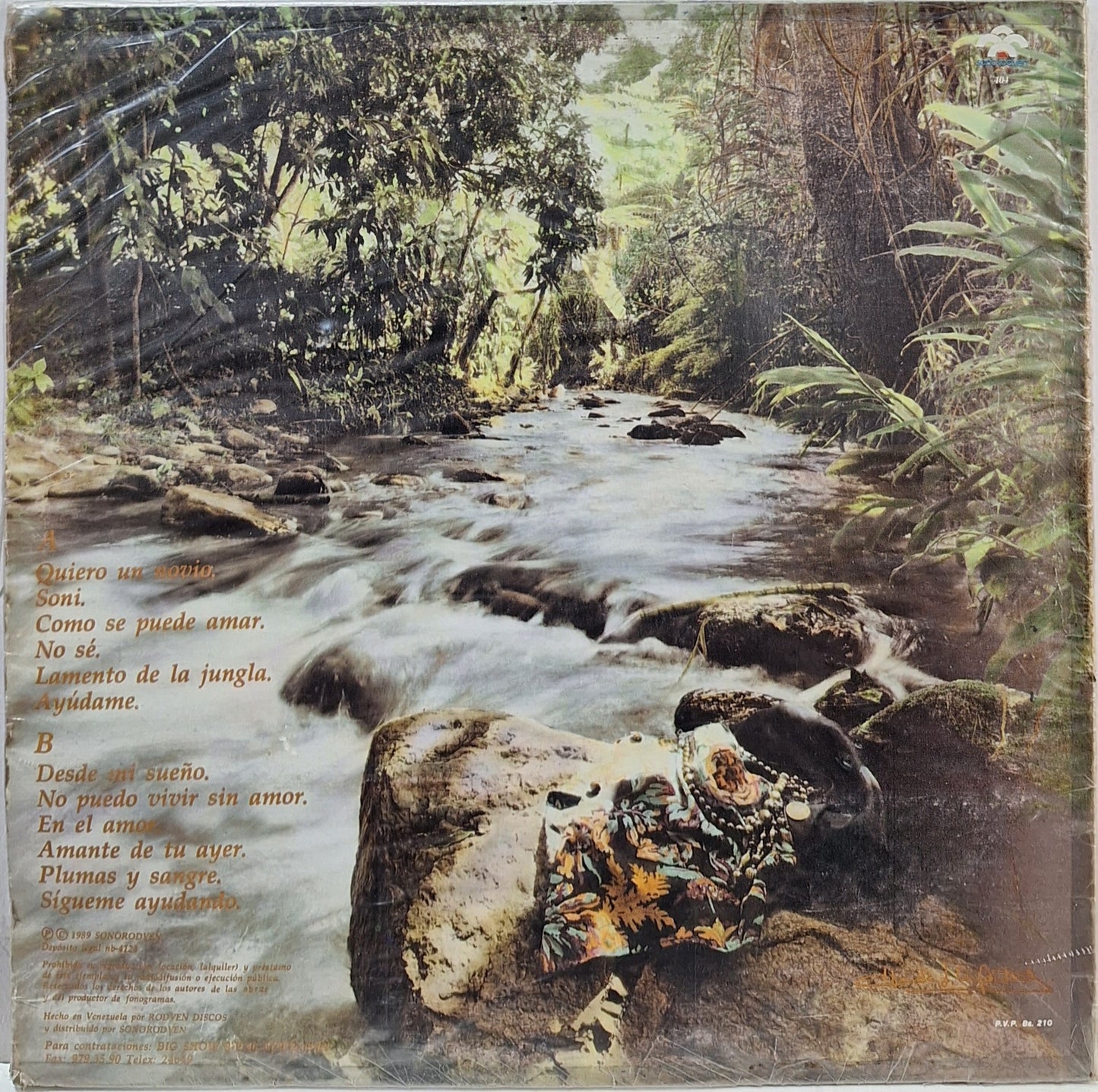 KARINA - DESDE MI SUEÑO LP