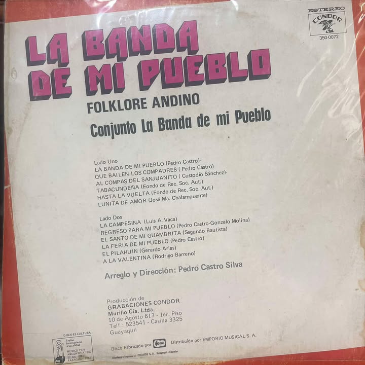 CONJUNTO LA BANDA DE MI PUEBLO - FOLKLORE ANDINO LP (DE EPOCA)