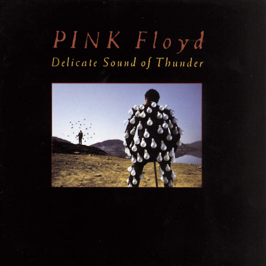 PINK FLOYD - DELICATE SOUND OF THUNDER 2CD