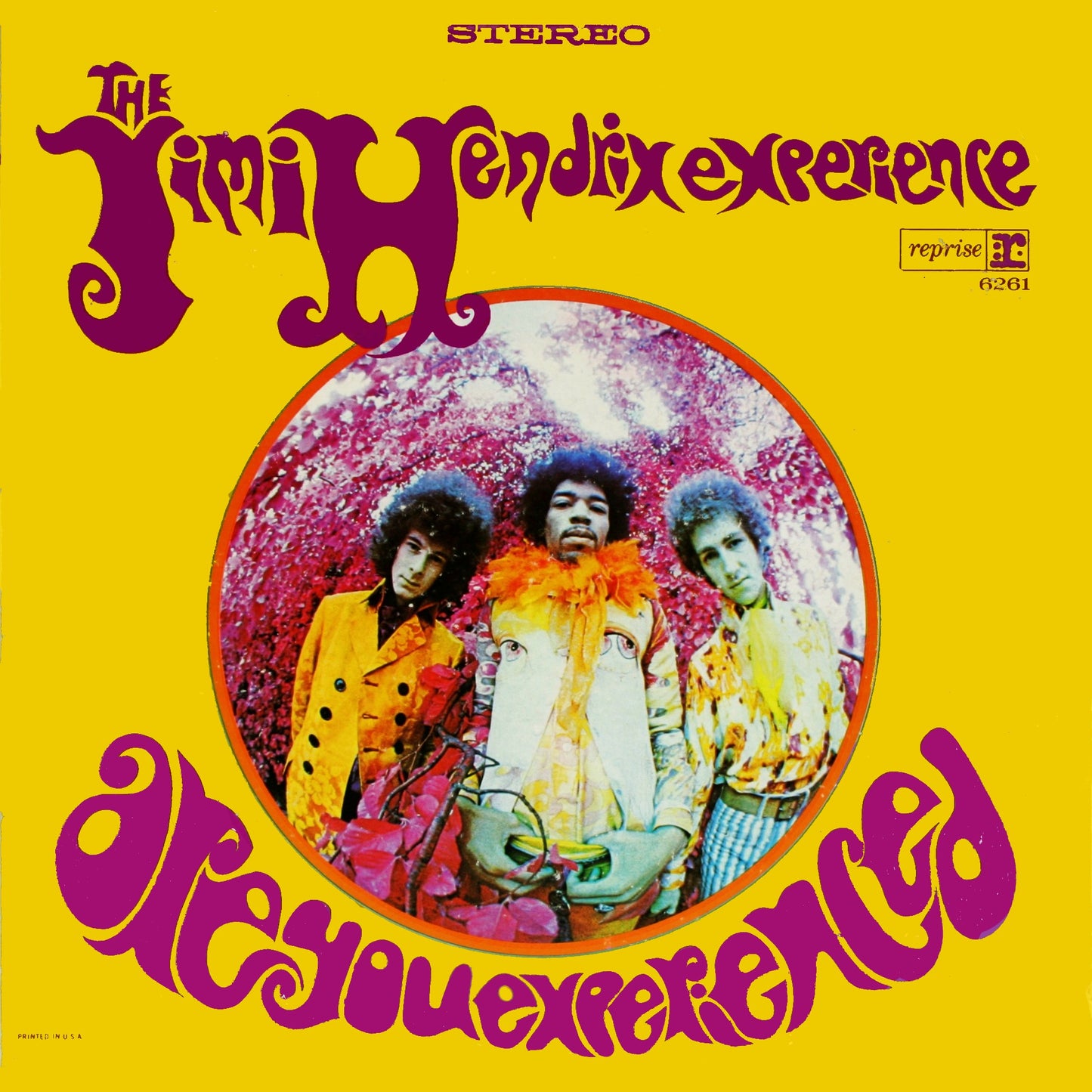 JIMI HENDRIX - ARE YOU EXPERIENCED LP