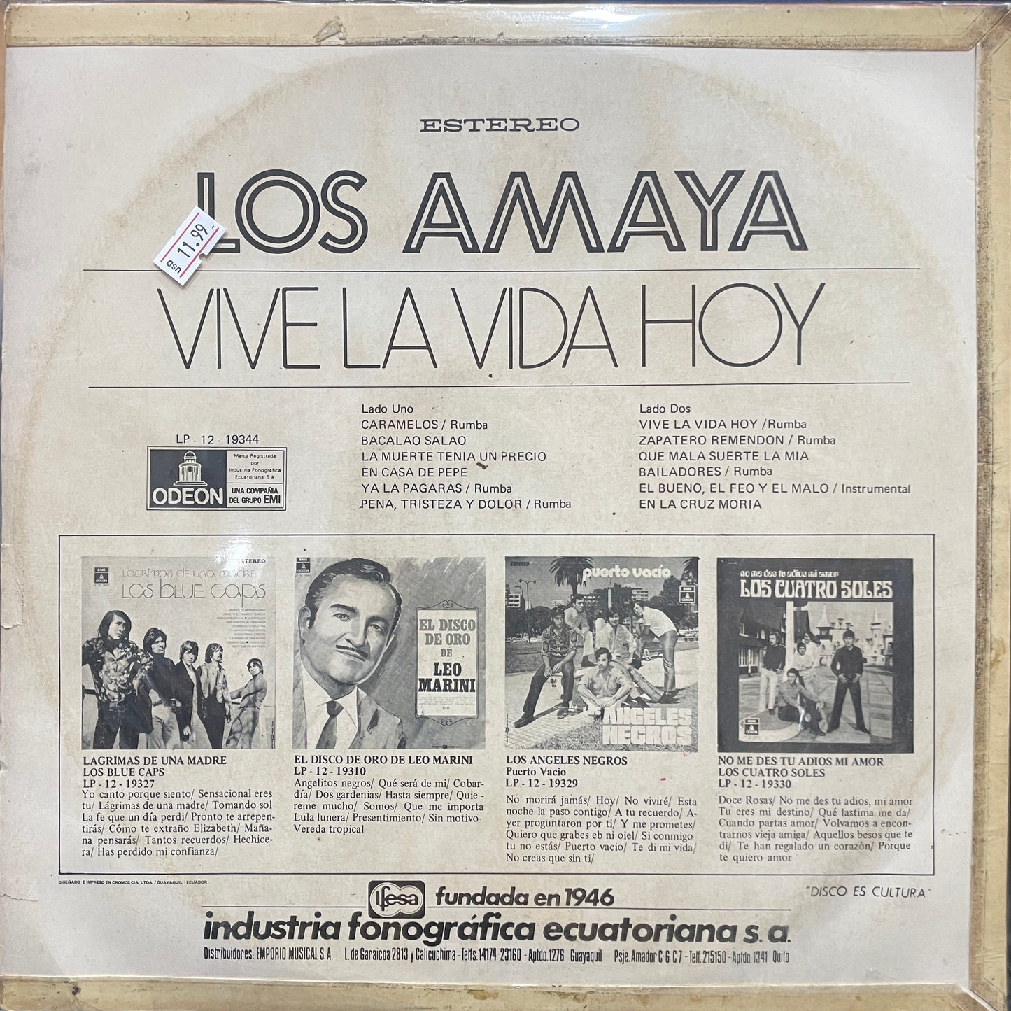 LOS AMAYA - VIVE LA VIDA HOY LP