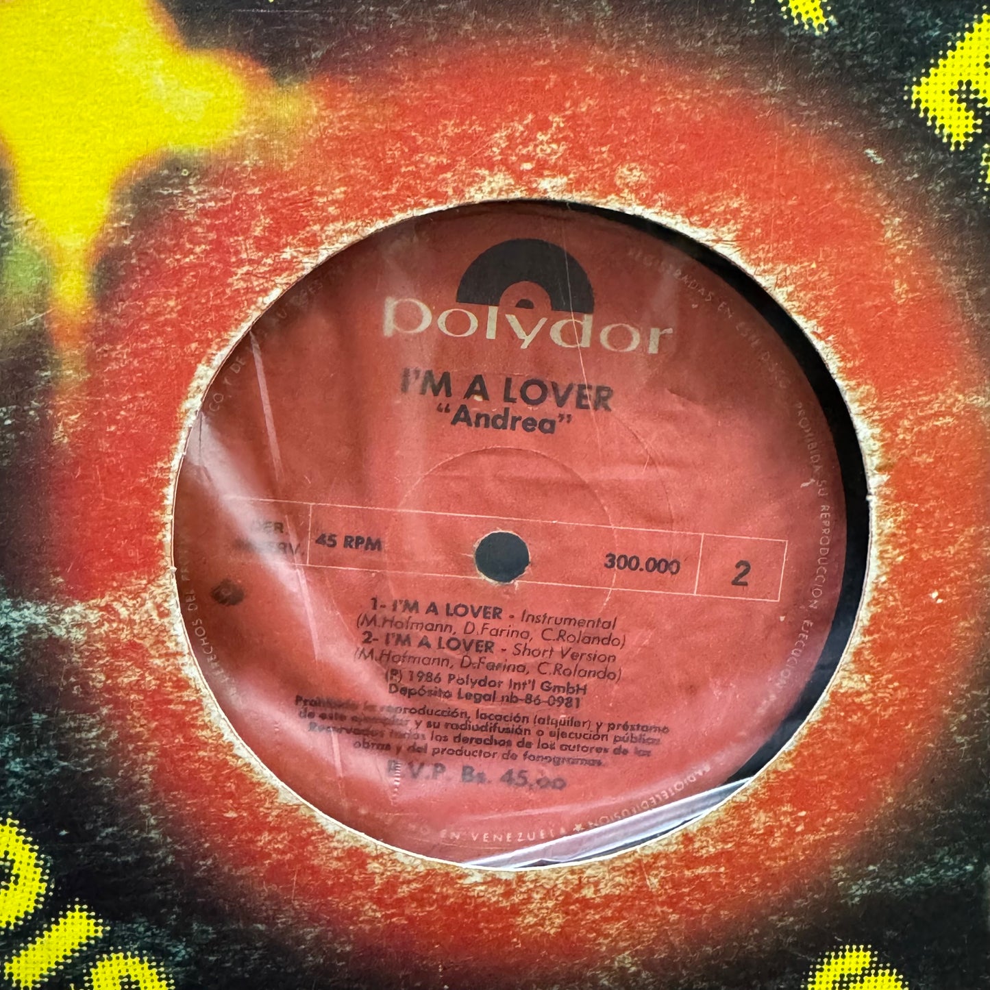 ANDREA - IM A LOVER LP (MAXI SINGLE)