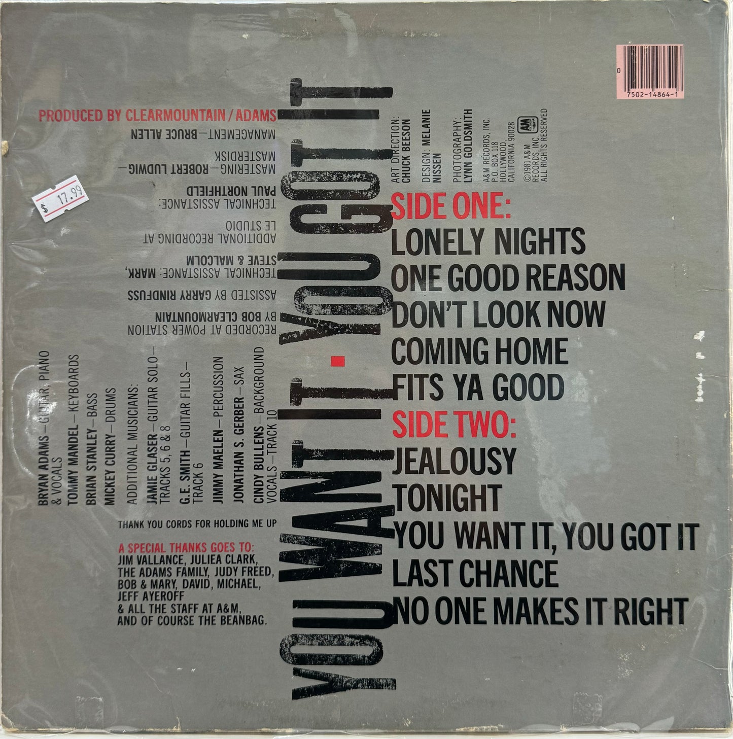 BRYAN ADAMS - YOU WANT IT YOU GOT IT LP