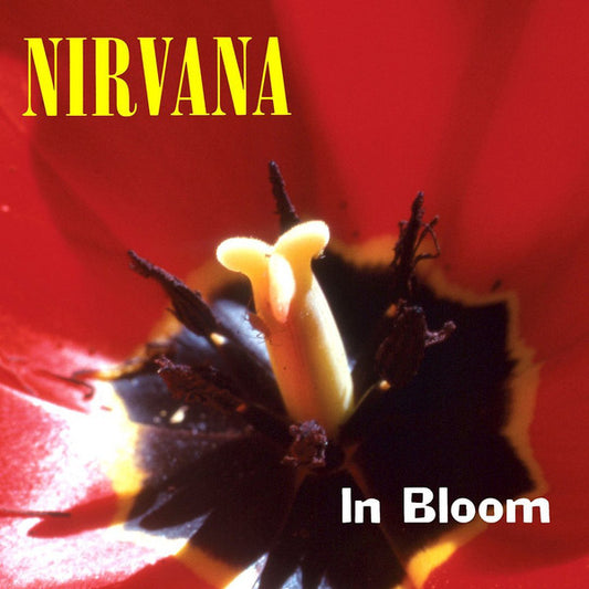 NIRVANA - IN BLOOM CD SINGLE