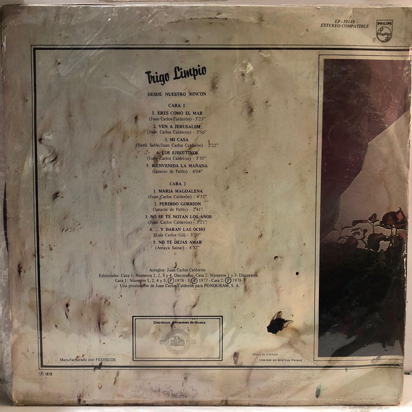 TRIGO LIMPIO - DESDE NUESTRO RINCON LP