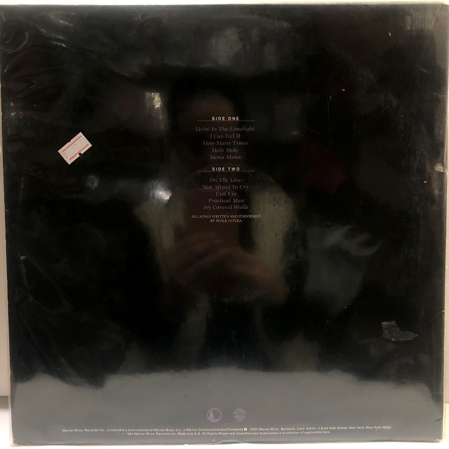 PETER CETERA - PETER CETERA LP (DE EPOCA)