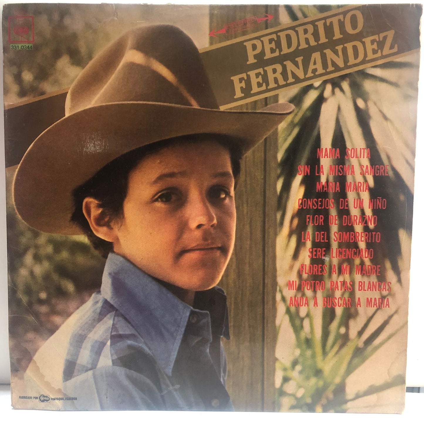 PEDRITO FERNANDEZ LP