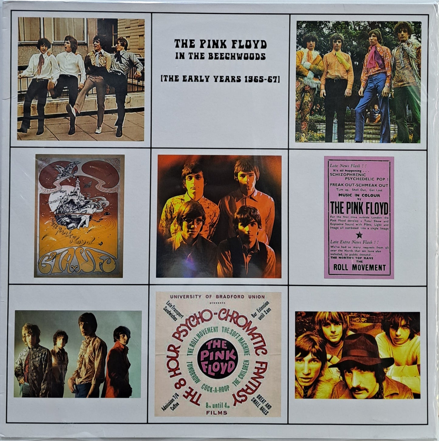 PINK FLOYD - IN THE BEECHWOODS (THE EARLY YEARS 1965-67) LP