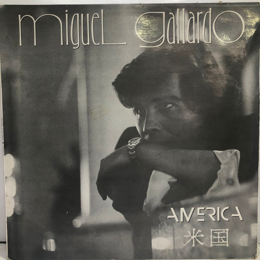 MIGUEL GALLARDO - AMERICA LP