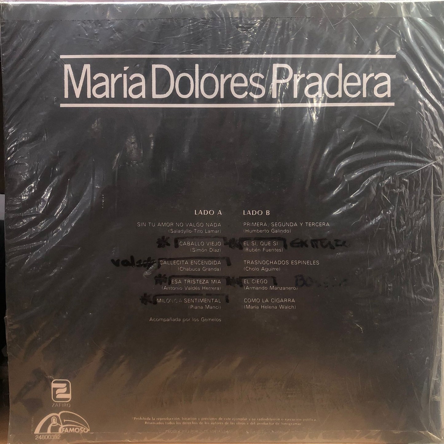 MARIA DOLORES PRADERA - MARIA DOLORES PRADERA LP