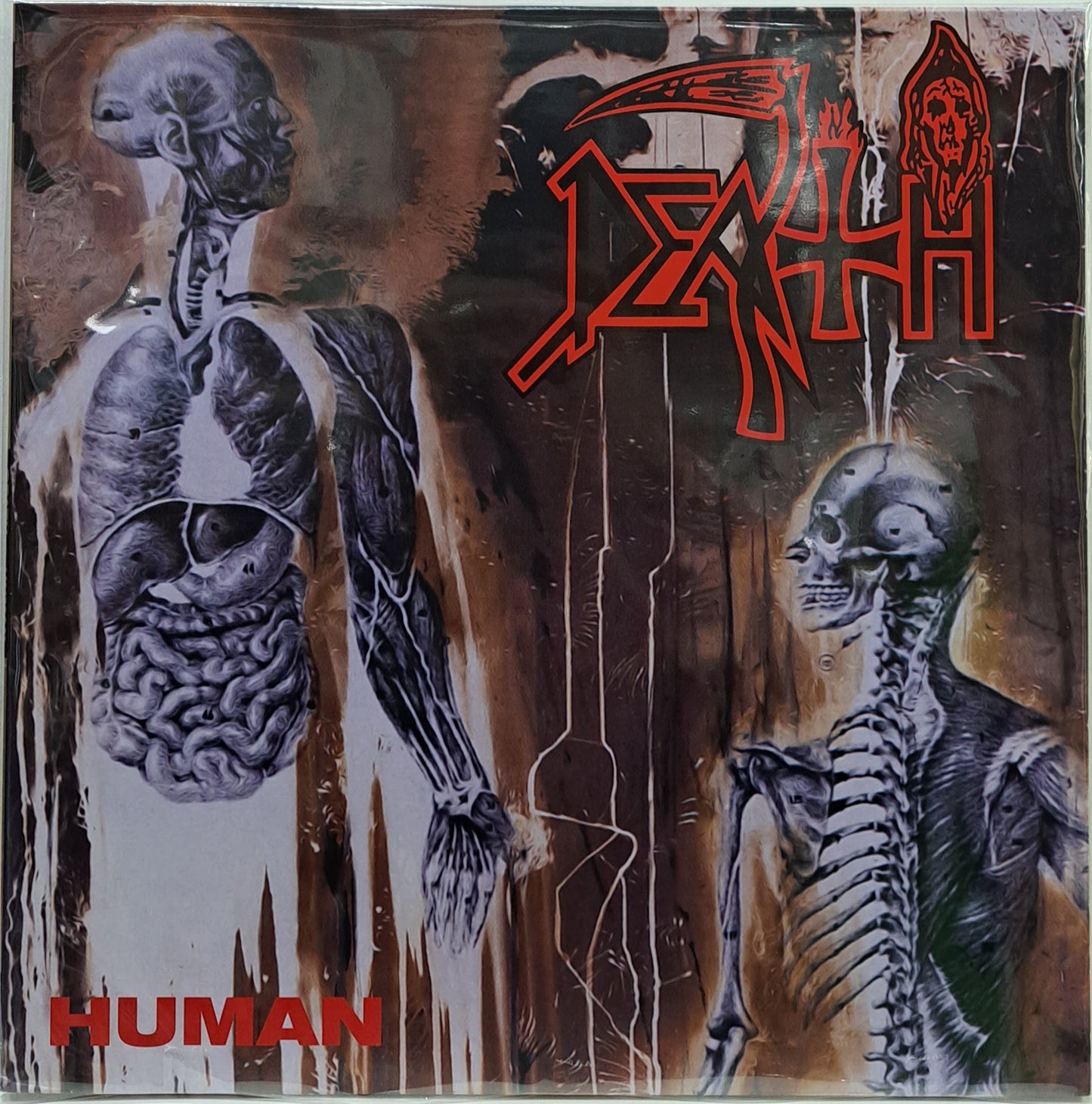 DEATH - HUMAN  LP
