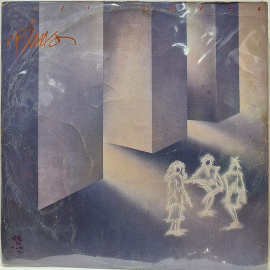 FLANS - LUZ Y SOMBRA LP