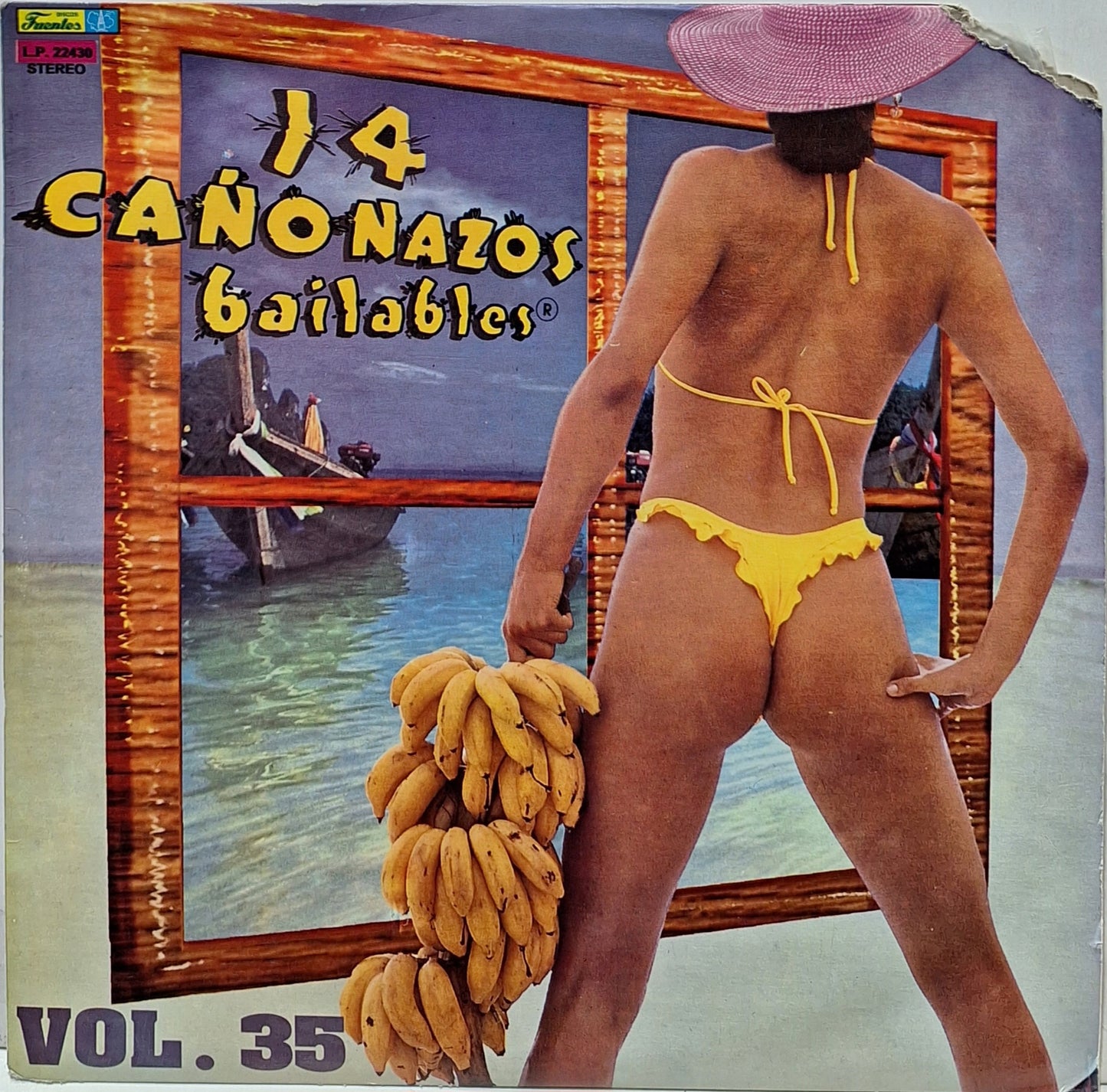 14 CAÑONAZOS BAILABLES VOL.35 LP