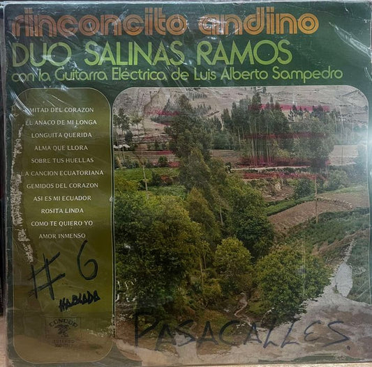 DUO SALINAS RAMOS - RINCONCITO ANDINO LP