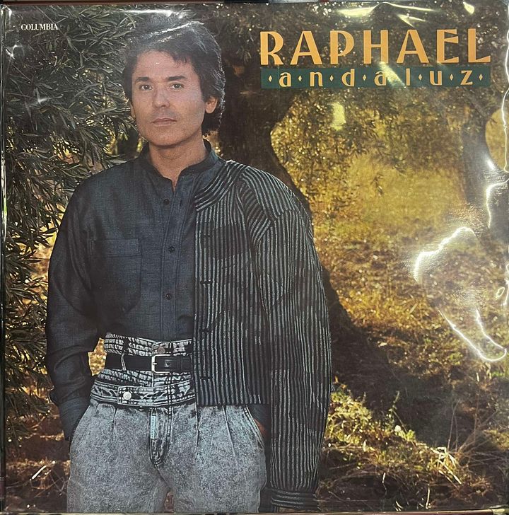 RAPHAEL - ANDALUZ LP (DE EPOCA)