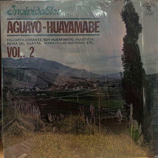 DUO AGUAYO HUAYAMABE - INOLVIDABLES VOL.2 LP