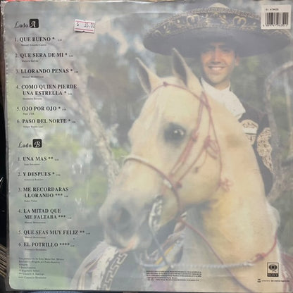 ALEJANDRO FERNANDEZ - QUE SEAS FELIZ LP (DE EPOCA)