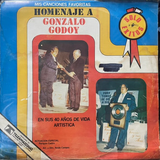 HOMENAJE A GONZALO GODOY - MIS CANCIONES FAVORITAS LP (DE EPOCA)