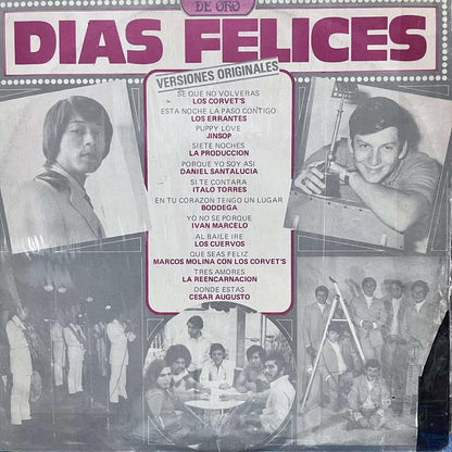 DIAS FELICES - VERSIONES ORIGINALES LP (DE EPOCA)