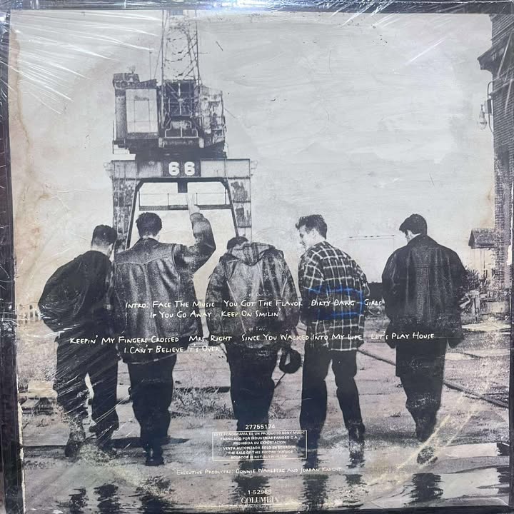 NEW KIDS ON THE BLOCK - FACE THE MUSIC LP (DE EPOCA)