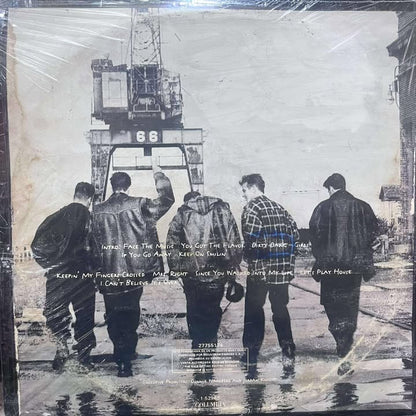 NEW KIDS ON THE BLOCK - FACE THE MUSIC LP (DE EPOCA)