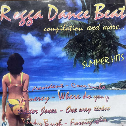RAGGA DANCE BEAT - SUMMER HITS LP (DE EPOCA)