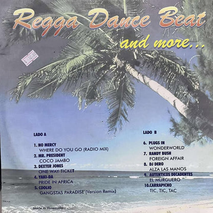 RAGGA DANCE BEAT - SUMMER HITS LP (DE EPOCA)