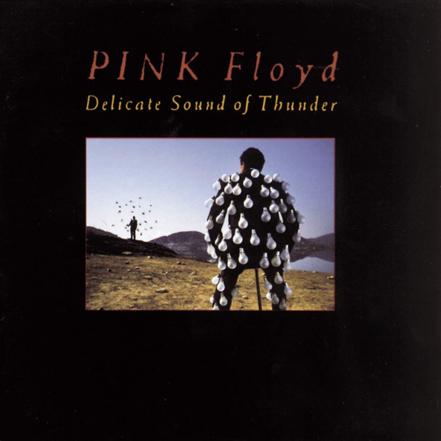PINK FLOYD - DELICATE SOUND OF THUNDER 2 CDS