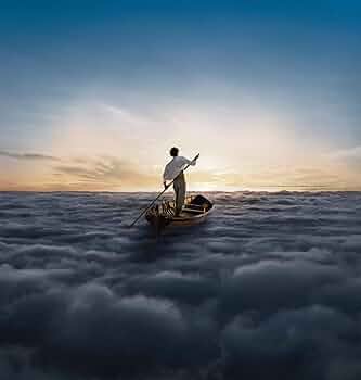 PINK FLOYD - THE ENDLESS RIVER 2 LPS