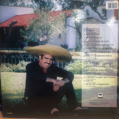 VICENTE FERNANDEZ - Y SUS CANCIONES LP