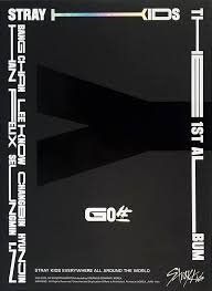 STRAY KIDS - GO LIVE LIMITED (ABIERTO)