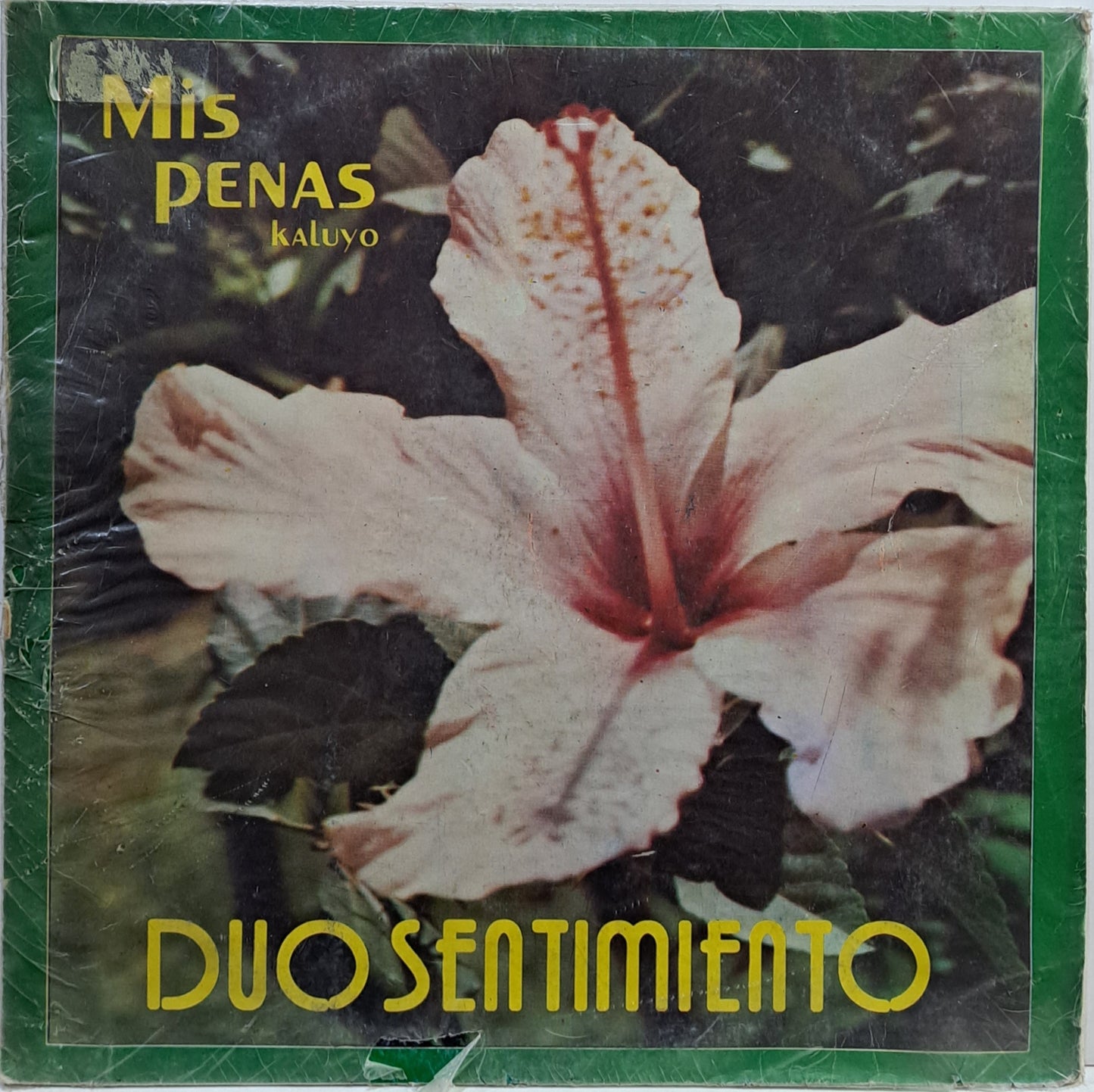 DUO SENTIMIENTO - MIS PENAS LP