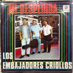 Imagen anterior del producto