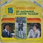 Imagen anterior del producto