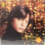 Imagen anterior del producto