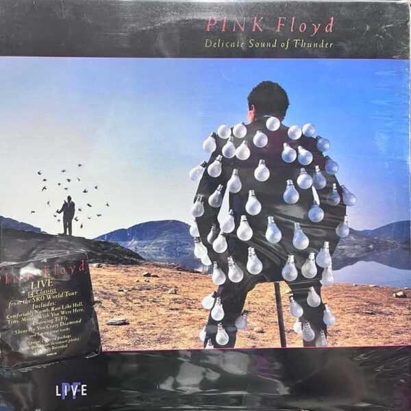 PINK FLOYD - DELICATE SOUND OF THUNDER 2LPS (DE EPOCA)