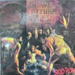 Imagen anterior del producto