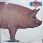 Imagen siguiente del producto