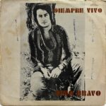 Imagen anterior del producto