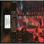 Imagen anterior del producto