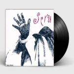 Imagen anterior del producto