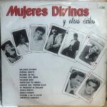 Imagen anterior del producto