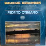 Imagen anterior del producto