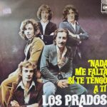 Imagen anterior del producto