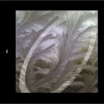 Imagen siguiente del producto