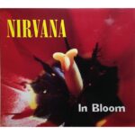 Imagen siguiente del producto