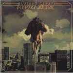 Imagen anterior del producto