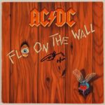 Imagen anterior del producto